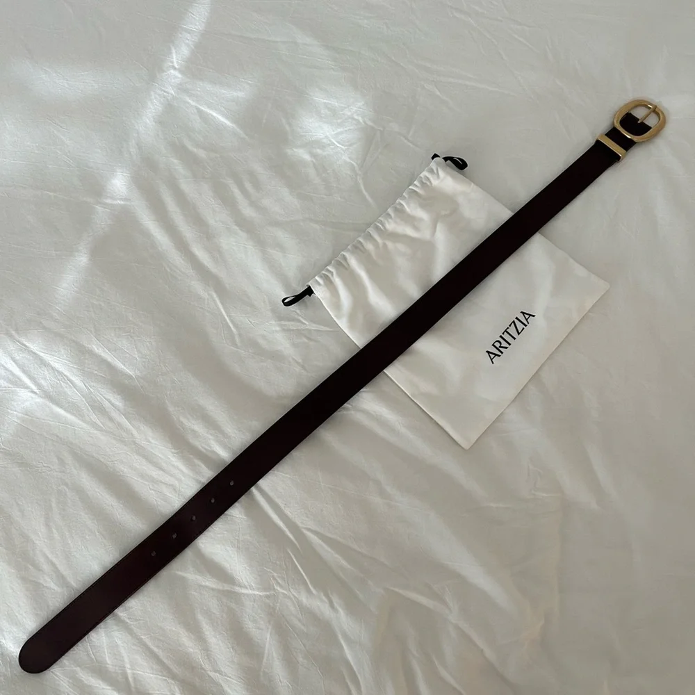 Aritzia Dark Brown Belt with Gold Hardware - Picture 3 of 7